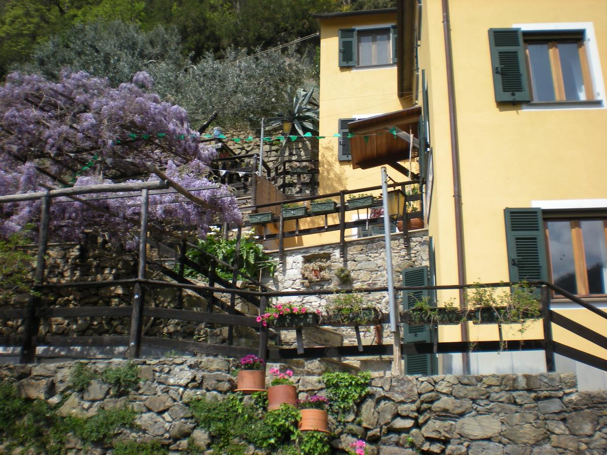 Agriturismo Il Sogno Lorsica Eksteriør billede